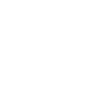 Logo Best Buddies