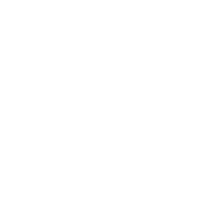 Logo Fundación Santa fé