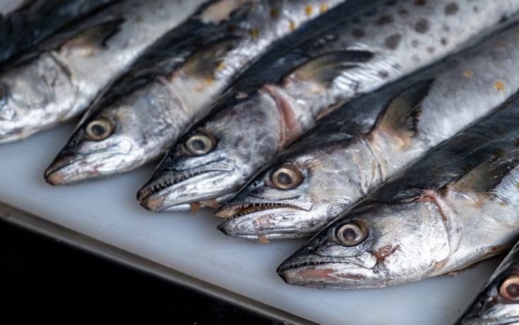 Foto de apoyo: Sostenibilidad