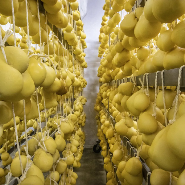 Background Il Formaggio