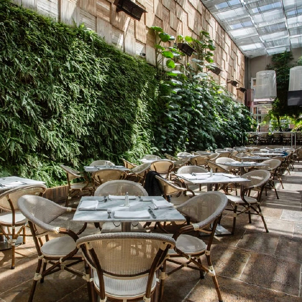 Background Il Giardino