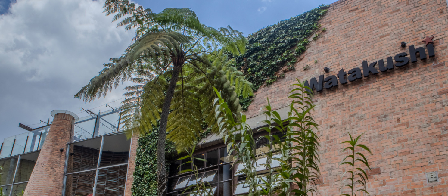 Background Watakushi