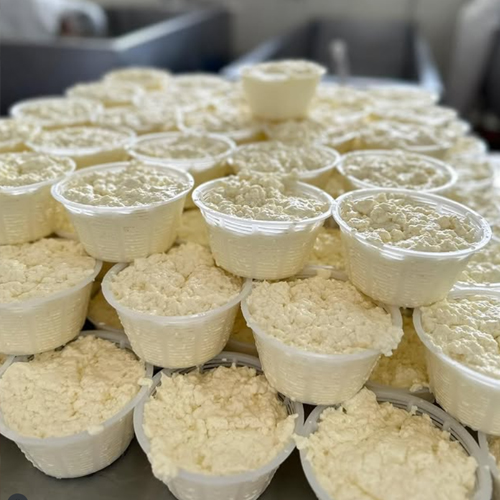 Il Formaggio